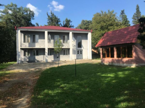 Villa ipo